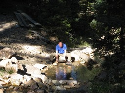 Panning for Gold Cyphers Mine